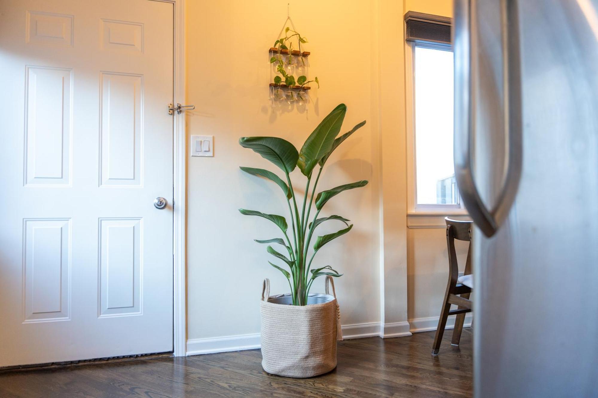 Bucktown Private Condo شيكاغو المظهر الخارجي الصورة